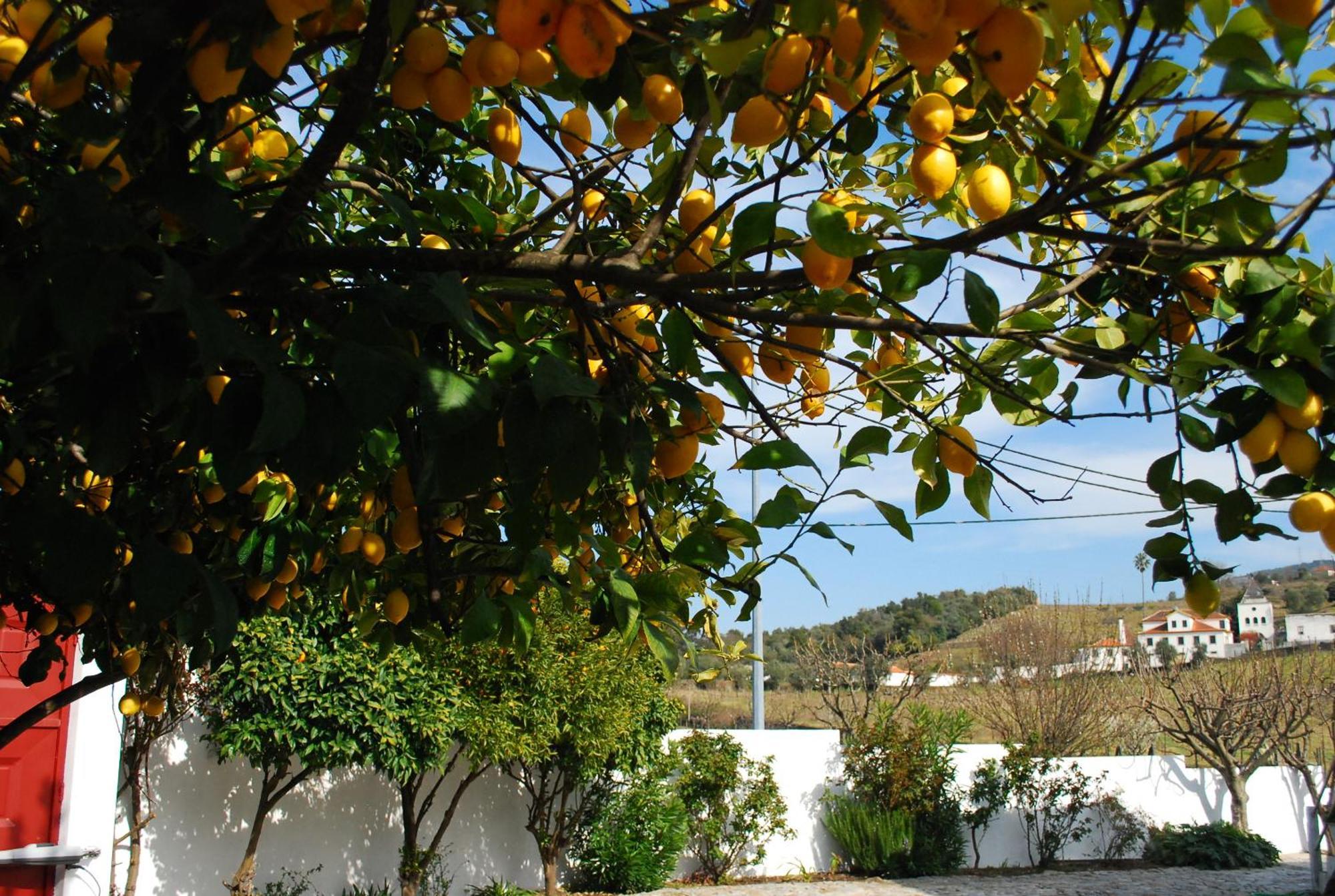 Casa Relogio De Sol Villa Lamego Luaran gambar