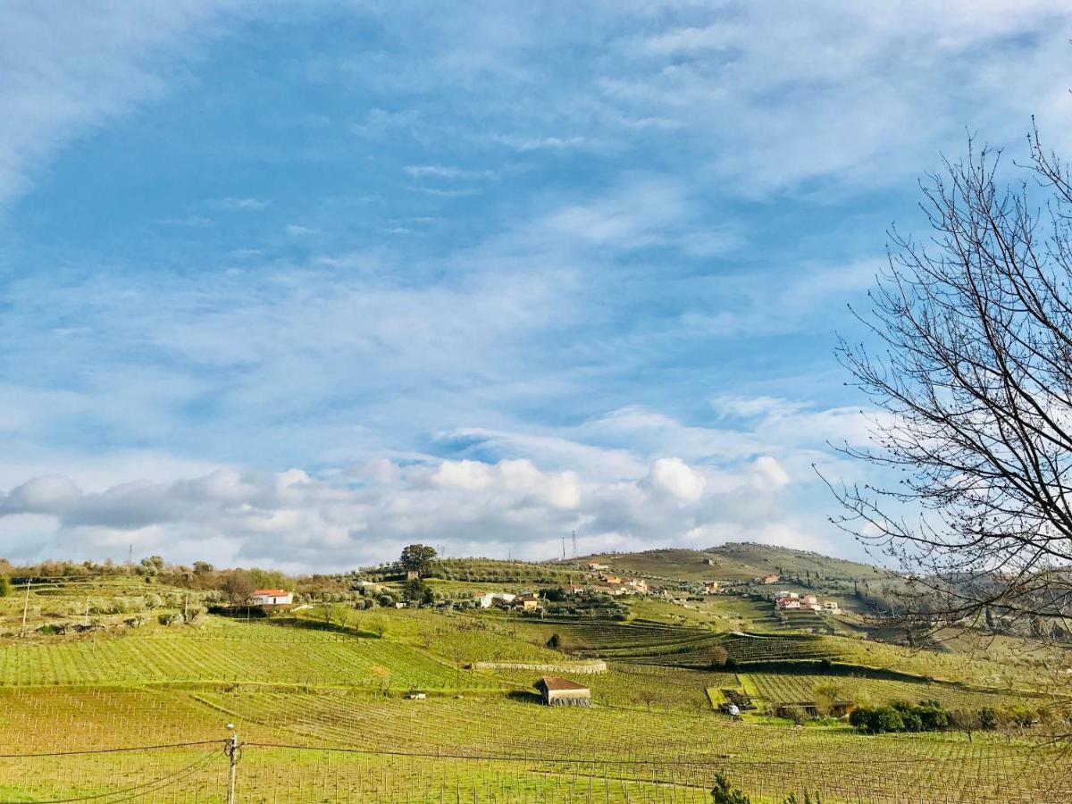Casa Relogio De Sol Villa Lamego Luaran gambar